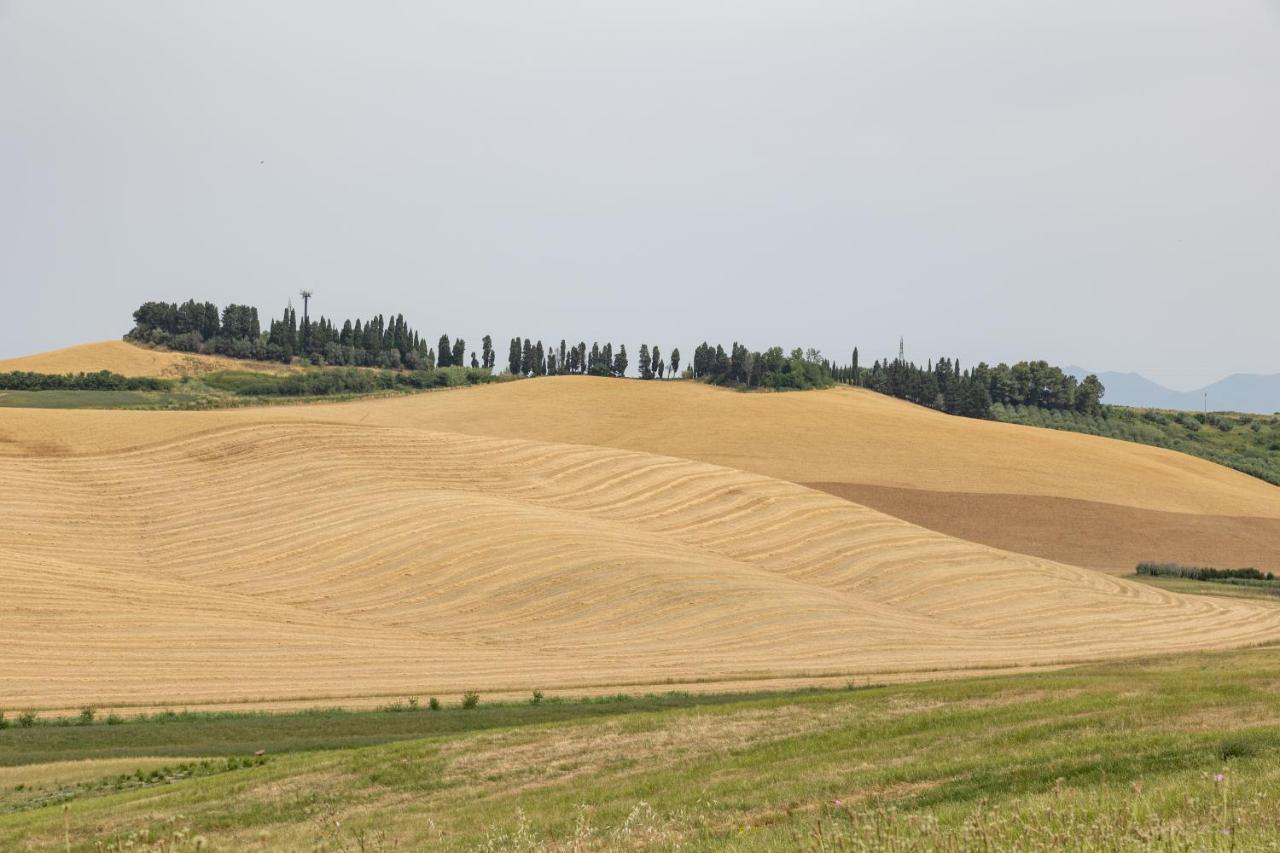 Agriturismo La Valle Della Lavanda - Podere Mezzastrada Fauglia ภายนอก รูปภาพ