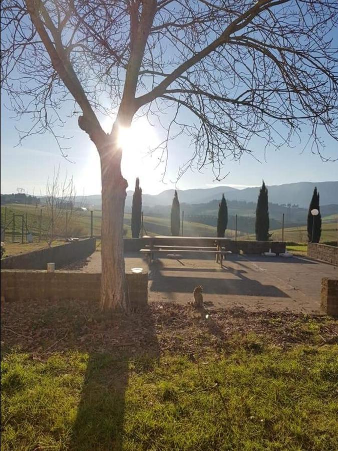 Agriturismo La Valle Della Lavanda - Podere Mezzastrada Fauglia ภายนอก รูปภาพ