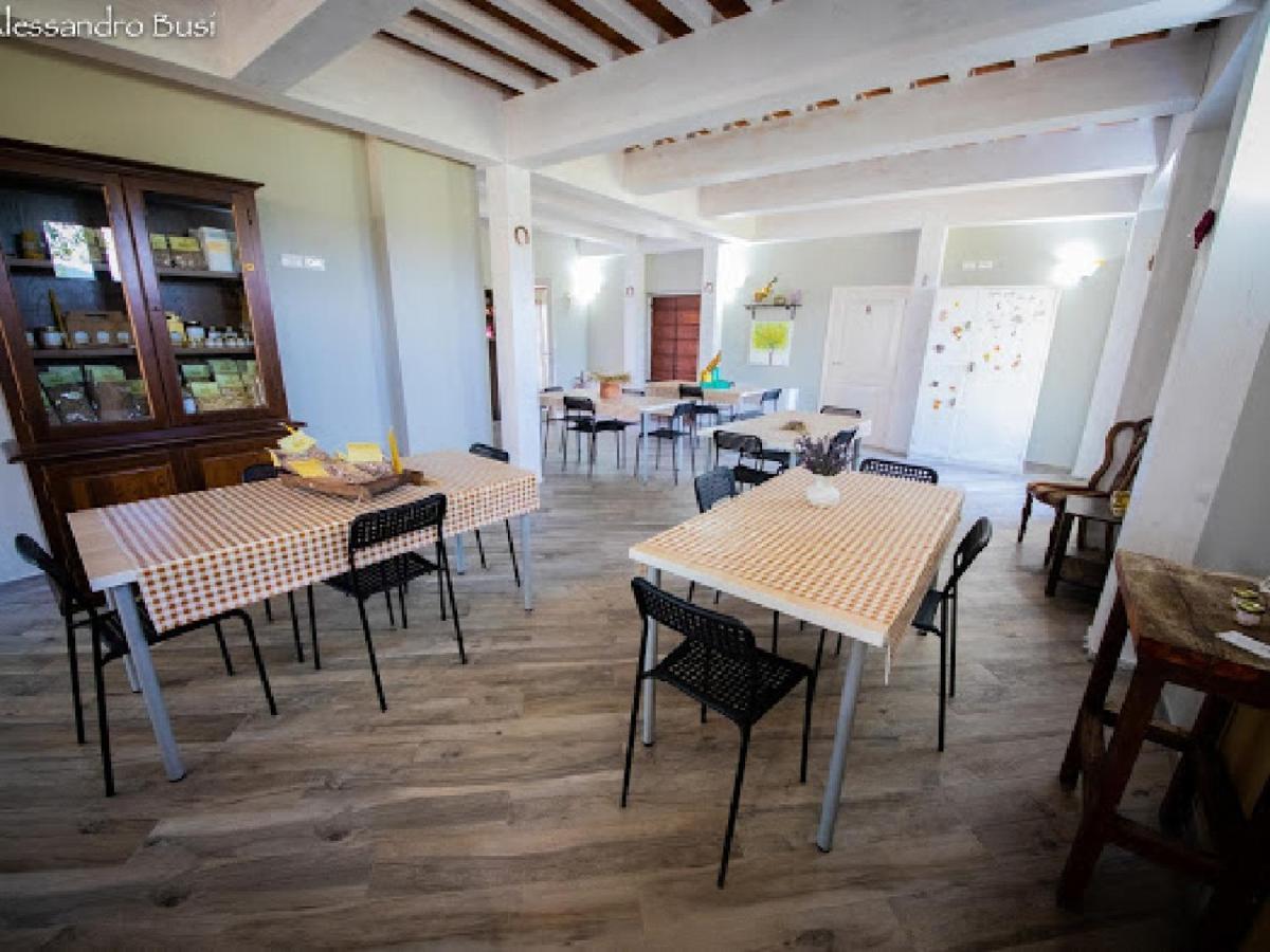 Agriturismo La Valle Della Lavanda - Podere Mezzastrada Fauglia ภายนอก รูปภาพ