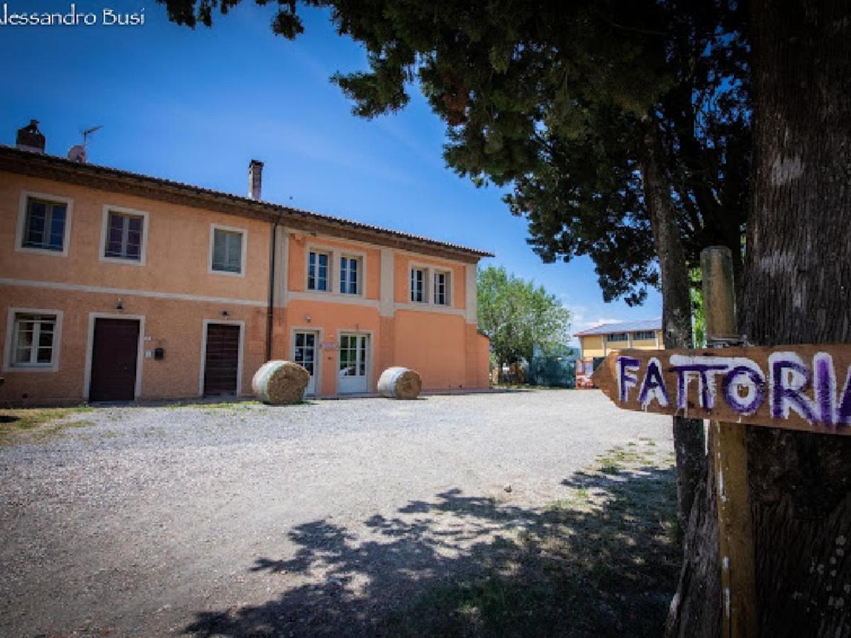 Agriturismo La Valle Della Lavanda - Podere Mezzastrada Fauglia ภายนอก รูปภาพ